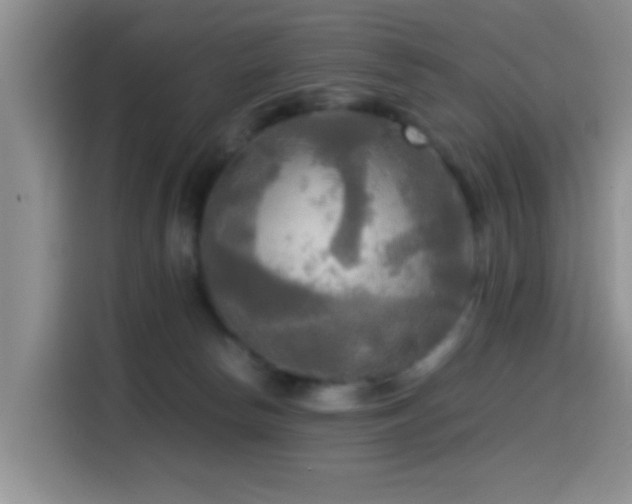 X0000114560178200910191439