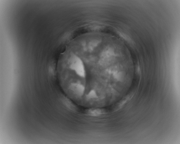 X0000114560181200910191439