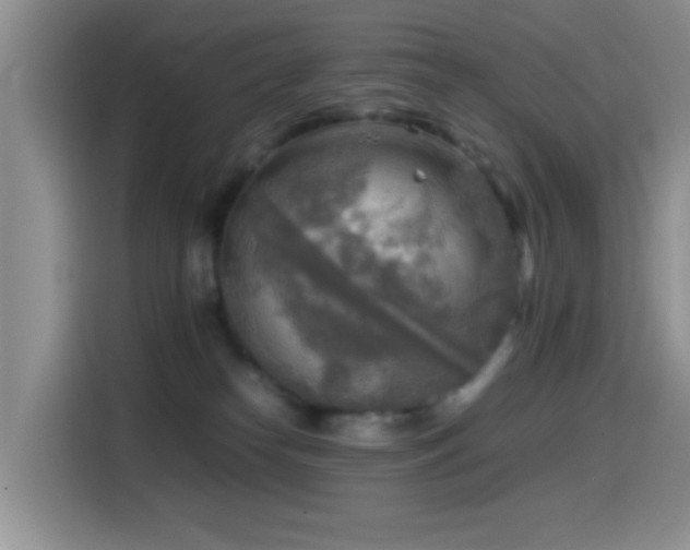 X0000114560182200910191439