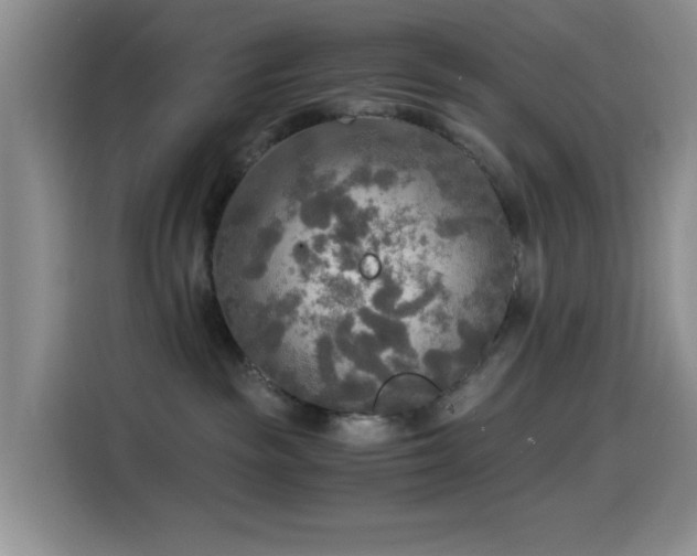 X0000114560189200910191439