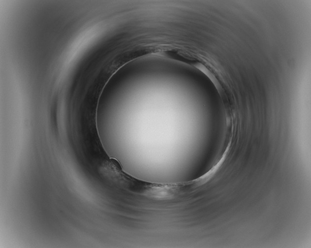 X0000114560190200910191439