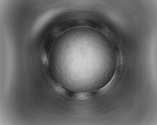 X0000114560191200910191439