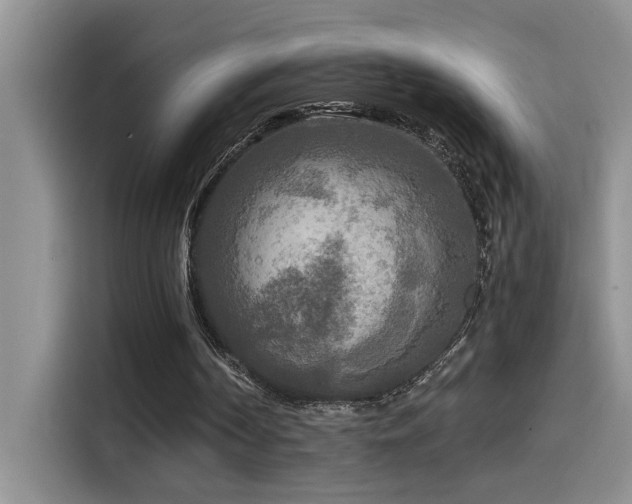 X0000114560194200910191438