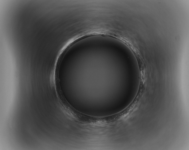 X0000114560196200910191438