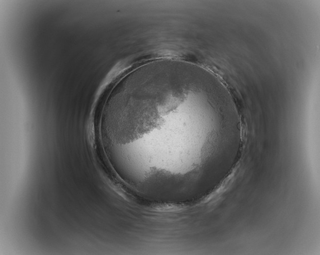 X0000114560198200910191438