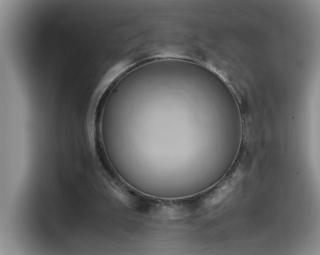 X0000114560199200910191438