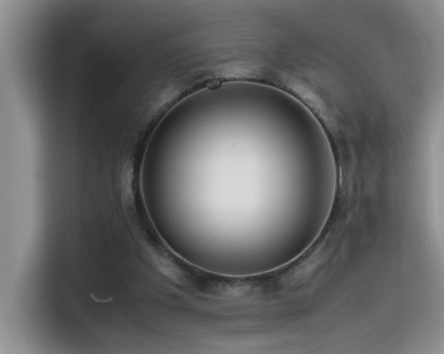 X0000114560201200910191438