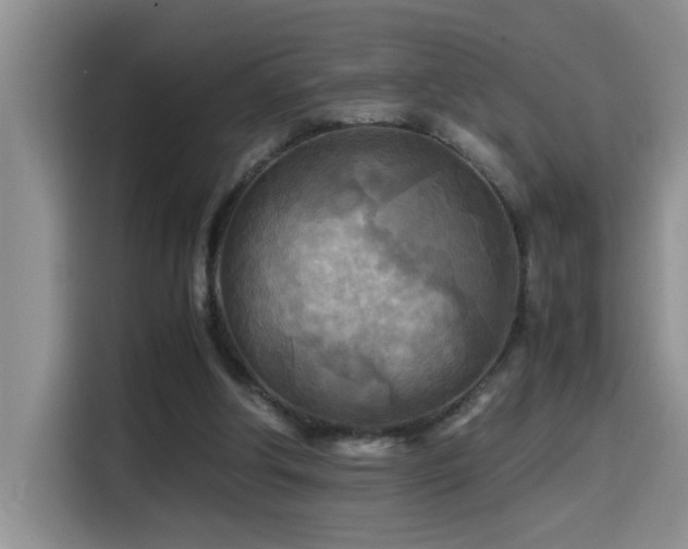 X0000114560202200910191438