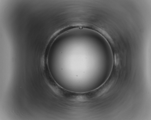 X0000114560204200910191438