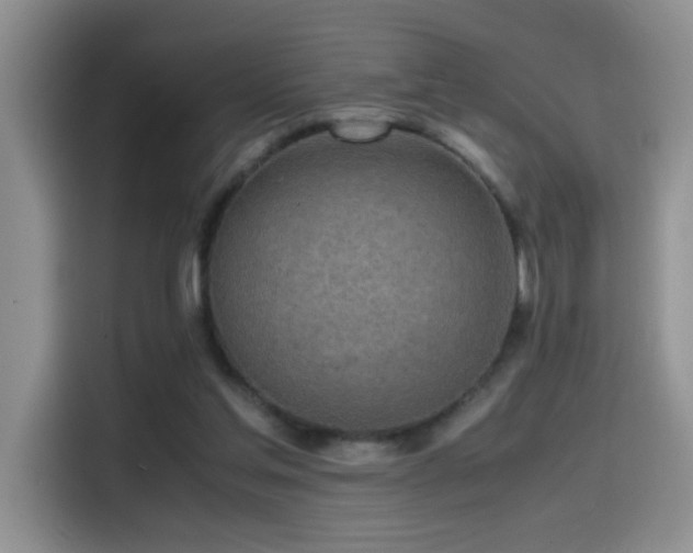 X0000114560205200910191438