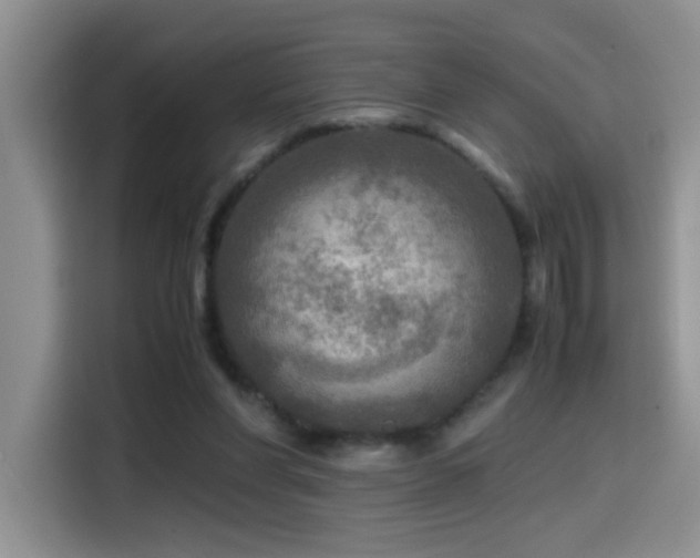 X0000114560206200910191438