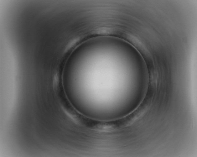 X0000114560208200910191438
