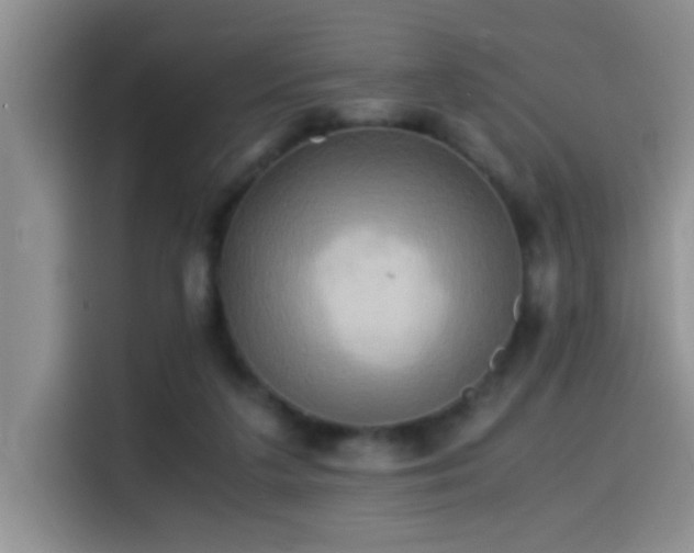X0000114560211200910191438
