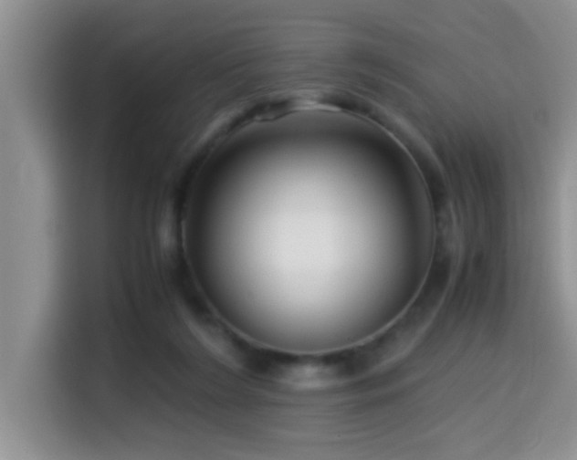 X0000114560212200910191438