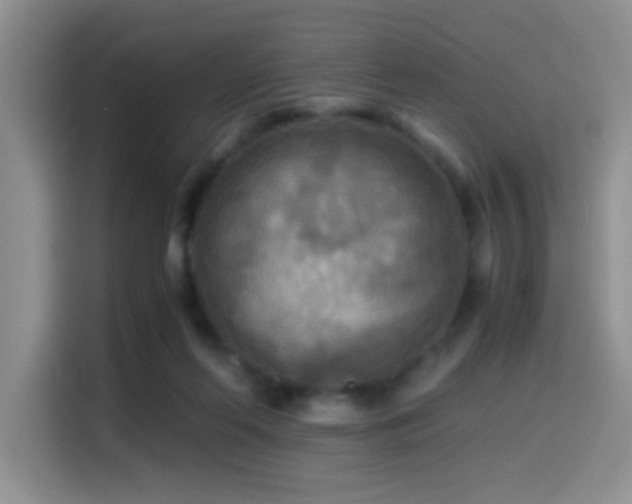 X0000114560214200910191438