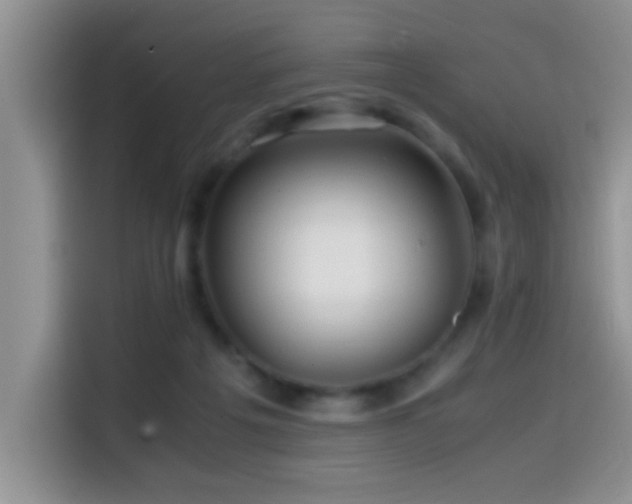 X0000114560217200910191438