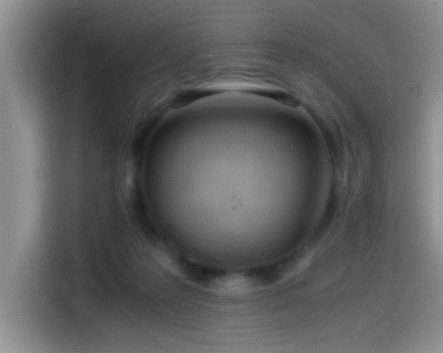 X0000114560219200910191438