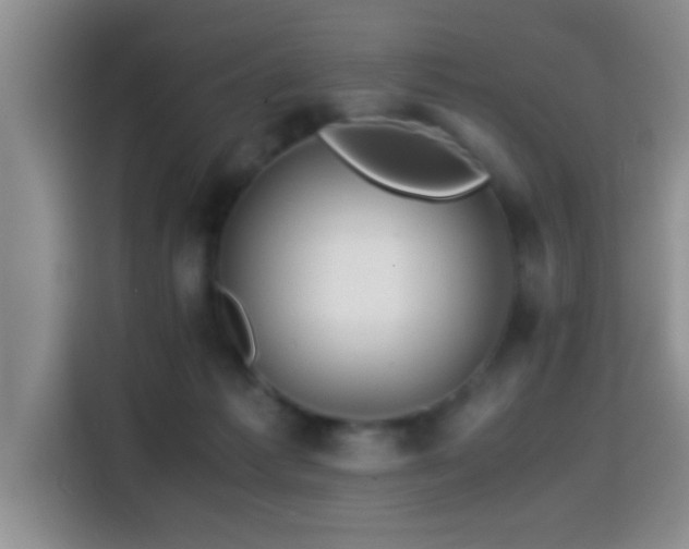 X0000114560221200910191438