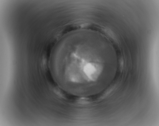 X0000114560222200910191438