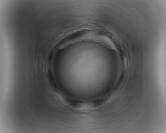 X0000114560223200910191438