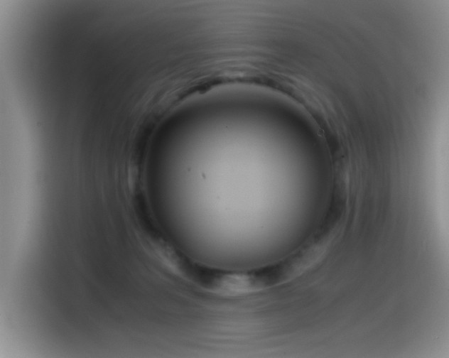 X0000114560227200910191438