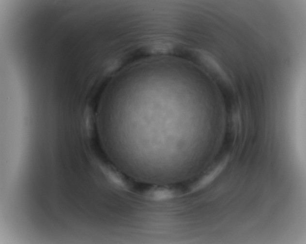 X0000114560228200910191438