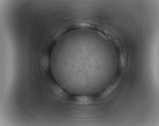 X0000114560230200910191438