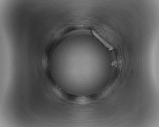 X0000114560231200910191438