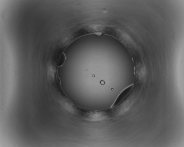X0000114560235200910191438