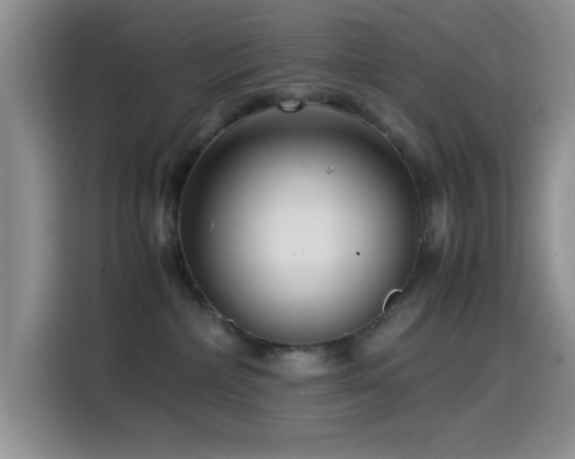 X0000114560236200910191438