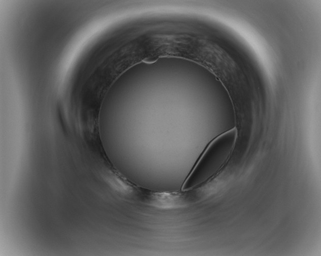 X0000114560239200910191438