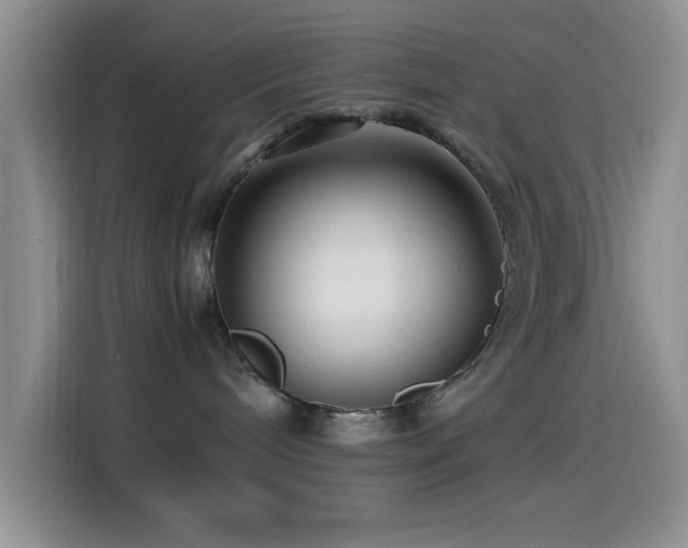 X0000114560240200910191437