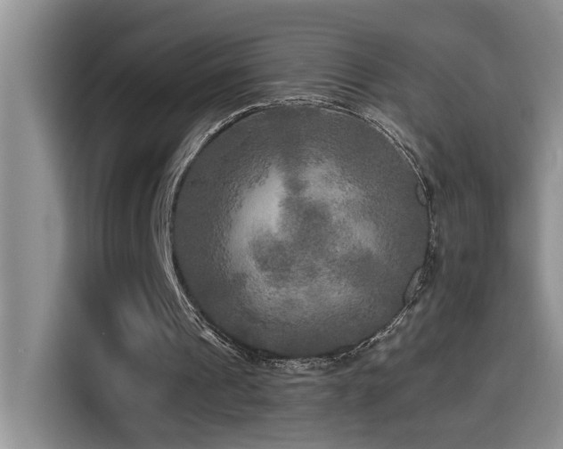 X0000114560241200910191437
