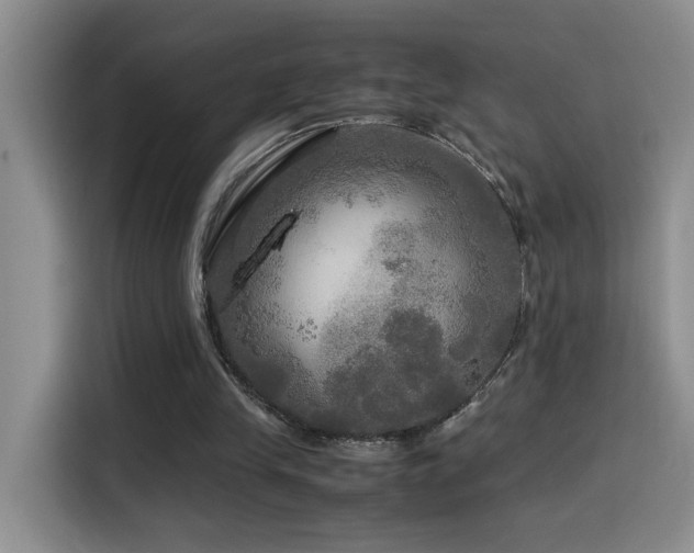 X0000114560245200910191437