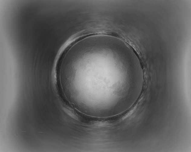 X0000114560246200910191437