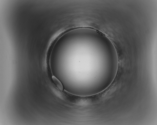 X0000114560248200910191437