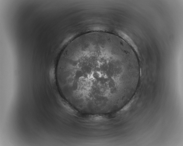 X0000114560249200910191437