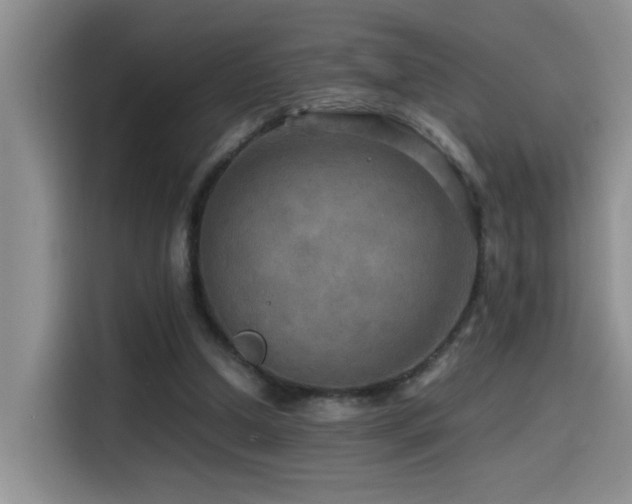 X0000114560250200910191437