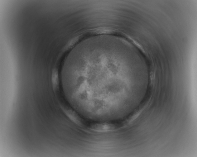 X0000114560254200910191437