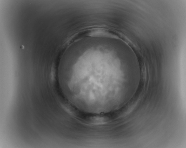 X0000114560255200910191437