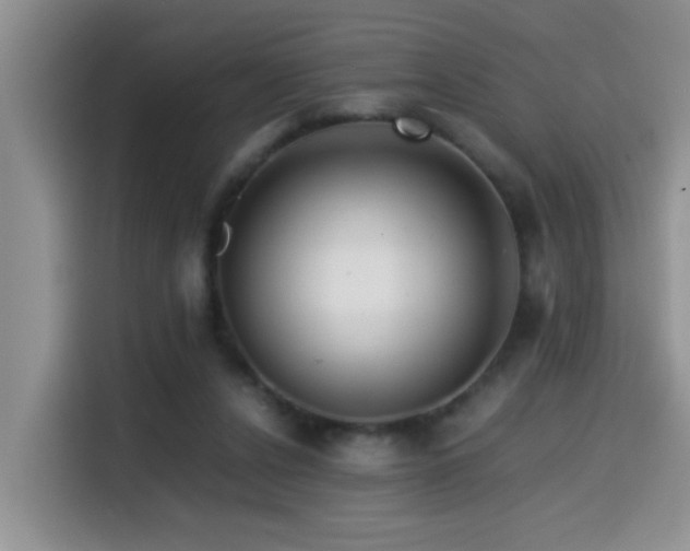 X0000114560256200910191437