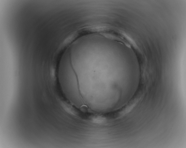 X0000114560258200910191437
