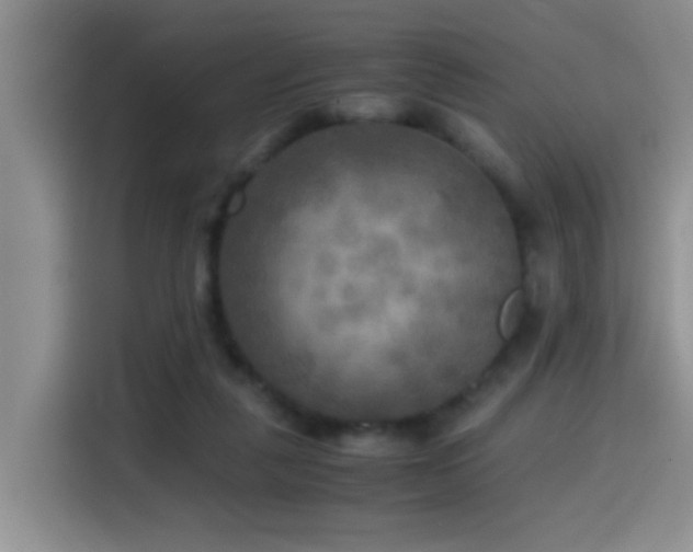 X0000114560259200910191437