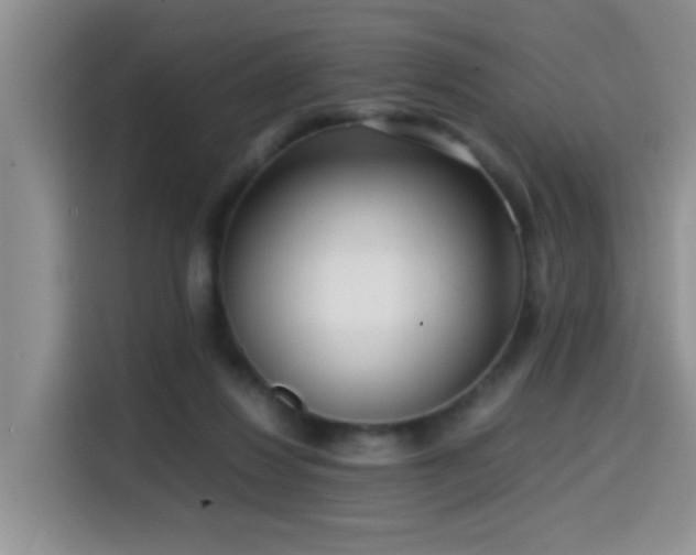 X0000114560260200910191437