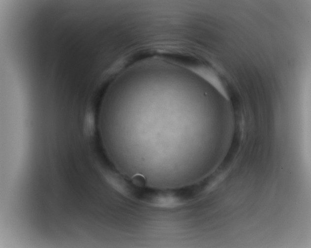 X0000114560262200910191437