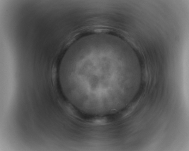 X0000114560263200910191437