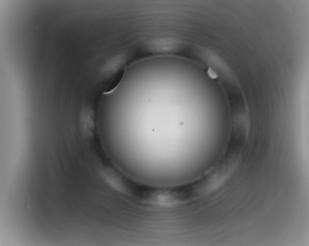 X0000114560264200910191437
