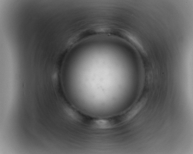 X0000114560265200910191437