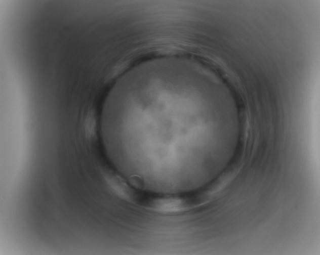 X0000114560266200910191437