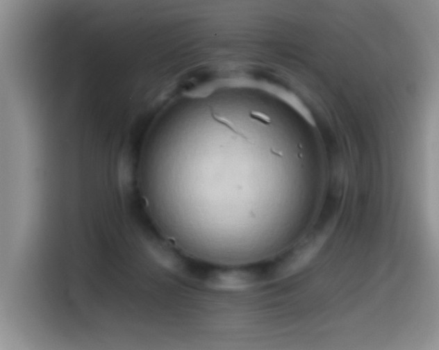 X0000114560268200910191437